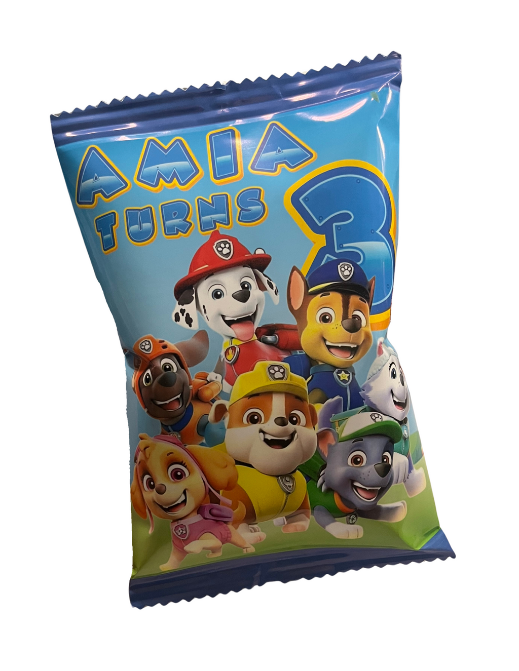 Custom PP Chip Bags